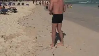 MicroRacers Mexicobeach HD
