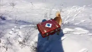 Survivor crate