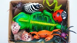 ZURU ROBO ALIVE COLLECTION | UNBOXING Robot Chalemon, New Robo Alive Giant Creeper Insect | ASMR