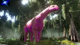 Ark Battle Swamp Day 1 Music Extended in 1 Hour Update 257