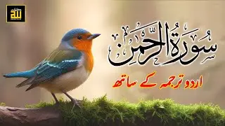 Surah Rahman Urdu Tarjuma k Sath | Qari Al Sheikh Abdul Basit Abdul Samad | Quran Karim | Recitation