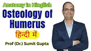 Humerus Bone Osteology in Hindi | Bony Features of Humerus for MBBS First Year | Anatomy Made Easy