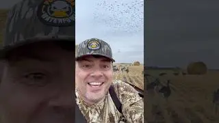 Hearing Protection / Perfection #hunting #duckhunters #Ducks #Geese #Waterfowl @tetrahearing5572
