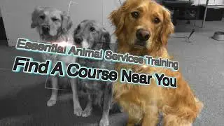 Essential Animal Services Training (EAST)
