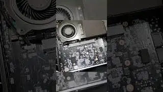 ЧТО ТЫ ТАКОЕ? Маршрутизатор с SFP? РАБОЧАЯ СТАНЦИЯ с NV Quadro? Мини-ПК? Minisforum MS-01