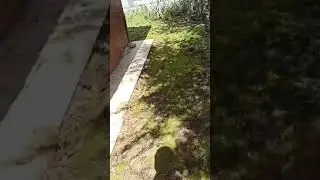 #BAH&Ccedil;EM#my garden#hadiqati#حديقتي#MUKBANG#ASMR#