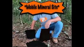 Mobile Deer Mineral Site