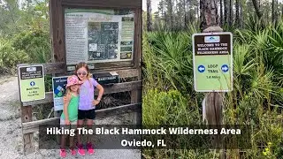 Hiking The Black Hammock Wilderness Area in Oviedo, FL | Adventures With The Cohns