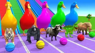 Long Slide Game with Cow Elephant Gorilla Hippopotamus Tiger 3d Animal Game Funny 3d Animals