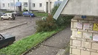 Двор