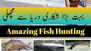 Thrilling Desi Fish Hunting Adventures in Pakistan's Rivers | Fish Hunting Pakistan New Videos 2023