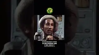 #Jamaica🇯🇲 #reggae #music #BobMarley & #TheWailers #legacy