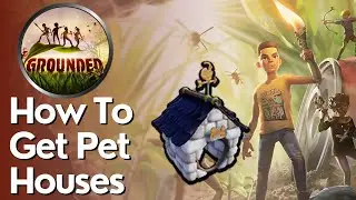 How to Get Pet Houses in Grounded