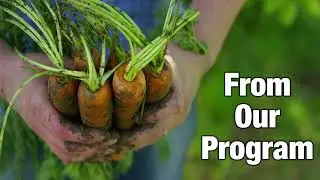 Waterfall's Veggie Rx Program