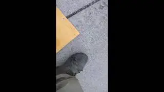 10292020AVRcrd0ClfrshRnwlApplctnSAW1Dlvry2DHA0ScrmntoCA DrpBx