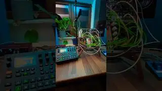 Twin Waves is 🔥 #techno #modular #synthesizer #elektron