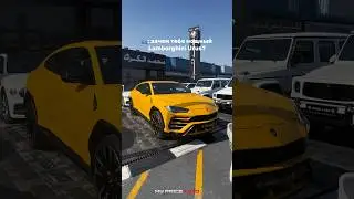 Мечтаешь о Lamborghini Urus?Хватит мечтать- пора ездить #urus #lamborghini #оаэ #юмор #автомобили
