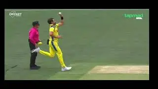 India's tour to Australia 2025...1stODI...Virat Kohli wicket