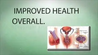 Penis Enlargement Bible Review