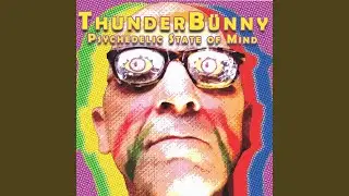 Psychedelic State of Mind