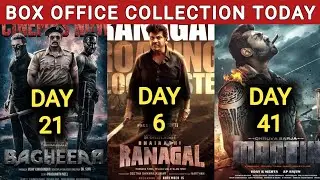 Bhairathi Ranagal Box Office Collection | Bagheera Box Office Collection | Martin Box Office