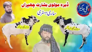 Dera Molvi Bisharat Chapran || Ladla Chpran Ala ||  Mastana Chpran Ala