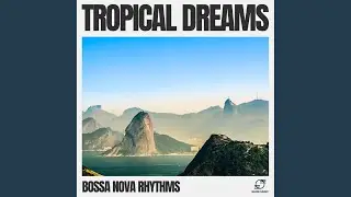 Samba Flow