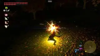 Survival of the Wild mod project test for Zelda, Breath of the Wild game.