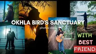 All details with photos ideas to okhla bird's sanctuary ( with best friend Masti )