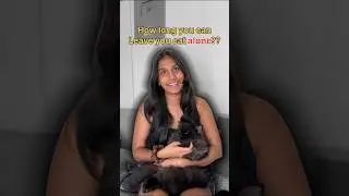 How long you can leave your cat alone?? 😸🐾 #cat #felinefine #mycat