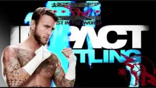 CM Punk TNA Theme 2014