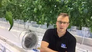 Recirculation fans with EC technology - Enerdes at RedStar Dinteloord