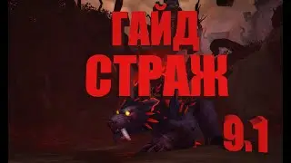 ПОЛНЫЙ ГАЙД СТРАЖ ДРУИД 9.1 ДЛЯ НОВИЧКА