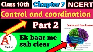 CLASS 10 BIOLOGY chapter 7 (Control and Coordination) part 2