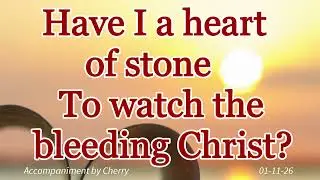 A Heart of Stone I Video lyrics I solo I Accompaniment by CHERRY