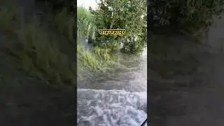 शाहजहांपुर में गर्रा नदी के कारण जलस्तर #shortsfeed #shortvideo #ytshorts #vira
