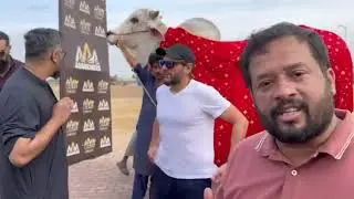Pakistan biggest Cow | cow mandi 2023 | sibbi bull | zafar abbas JDC