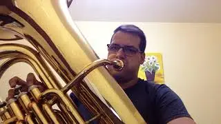 Hino 267 André Marques Tuba Hoyden 50 PL com (Olair Leite)