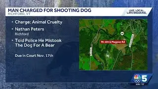 Man charged with animal cruelty after shooting, killing dog in Vermont
