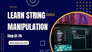 Learn String Manipulation | Scientific Computing with Python | freeCodeCamp Cert (Steps 61-70)