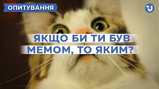 З якими мемами українці себе асоціюють &ndash; опитування