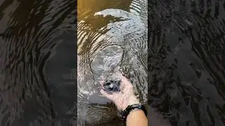 Oneplus 11 water test #watertest #camera_test #oneplus