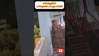 அனைவருக்கும் தைப்பூச திருநாள் வாழ்த்துக்கள்!