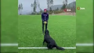 Norve&ccedil;li voleybolcunun k&ouml;peğiyle antrenmanı hayran bıraktı!