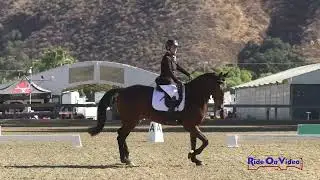 169D Denise Krause Spangler on Ossian Training Horse Dressage Galway Downs Nov. 2024