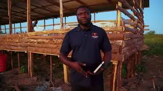 KIBEMBE RANCHES: UFUGAJI WA MBUZI TANZANIA NA MASOKO