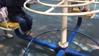 Dog casually enjoys ride on a carousel