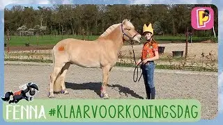 Klaar voor Koningsdag | Fenna | PennyTV