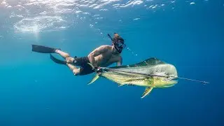 Spearfishing Marlin in Open Ocean 🐟 | Intense Battle with Aggressive Sharks