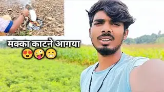 मक्का 🌽काटने आगया 🌿🌽#pappu_vlogs 